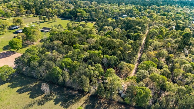 8441 Adcock Acres Dr, Conroe, TX 77303 - photo 10