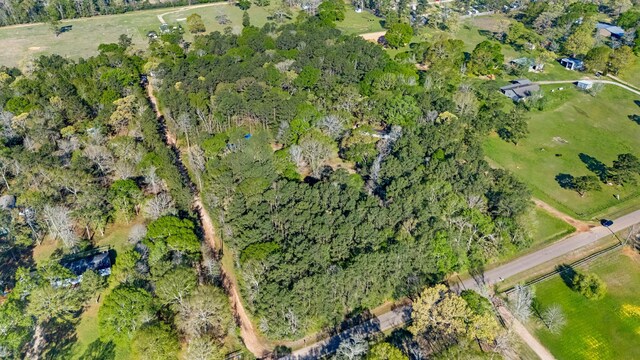 8441 Adcock Acres Dr, Conroe, TX 77303 - photo 6