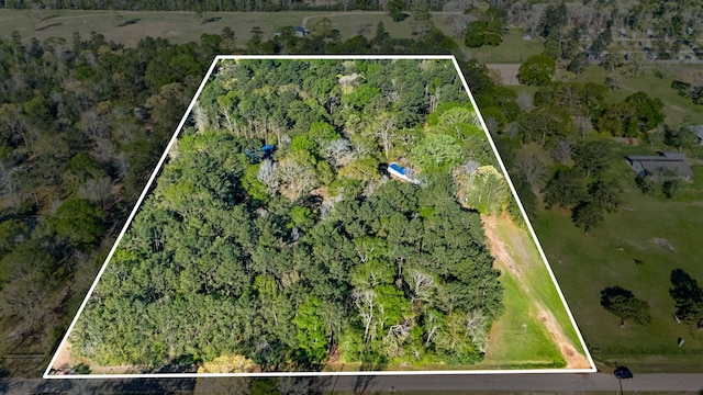 8441 Adcock Acres Dr, Conroe, TX 77303 - photo 12