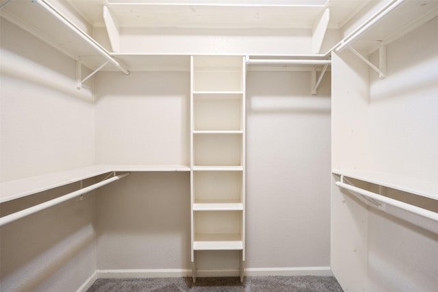 spacious closet with carpet