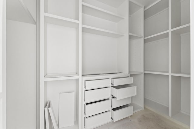 view of spacious closet