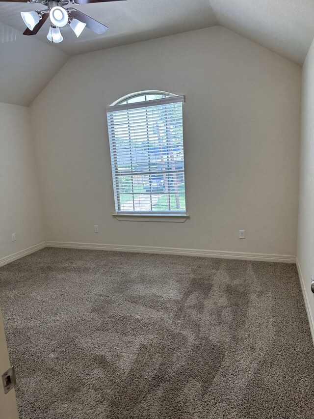 210 S Tesch St, Bellville, TX 77418 - photo 13