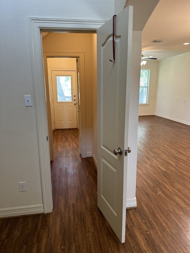 210 S Tesch St, Bellville, TX 77418 - photo 11