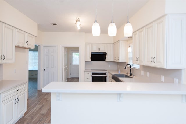 kitchen featuring light countertops, light wood finished floors, a sink, ventilation hood, and black appliances
