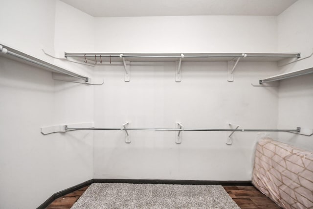 walk in closet featuring dark wood-style floors