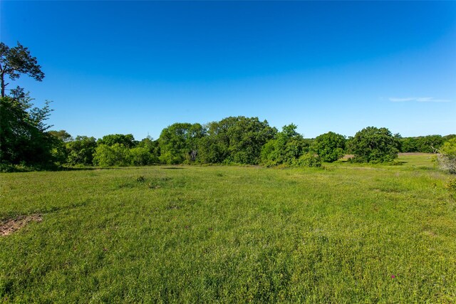 LOT11A Brazos Ct, Caldwell, TX 77836 - photo 1