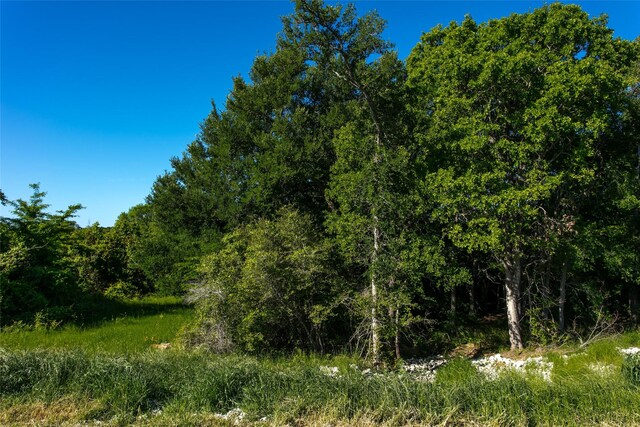 LOT11A Brazos Ct, Caldwell, TX 77836 - photo 2