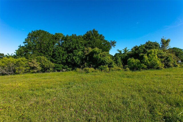 LOT11A Brazos Ct, Caldwell, TX 77836 - photo 3