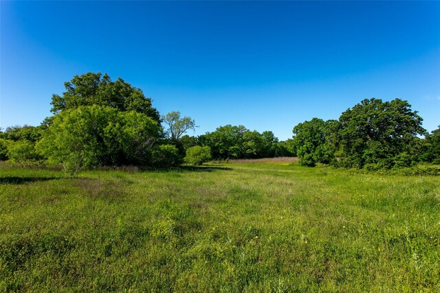LOT11A Brazos Ct, Caldwell, TX 77836 - photo 4