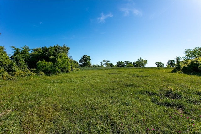 LOT11A Brazos Ct, Caldwell, TX 77836 - photo 5