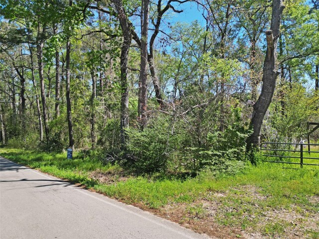 TBD Coaltown, Willis, TX 77378 - photo 11