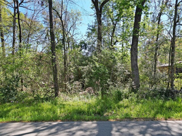 TBD Coaltown, Willis, TX 77378 - photo 12