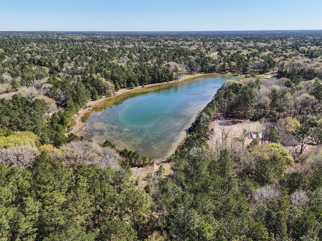 29920 Bareback Ln, Waller, TX 77484