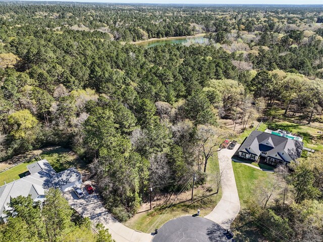 29920 Bareback Ln, Waller, TX 77484