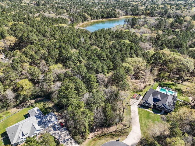 29920 Bareback Ln, Waller, TX 77484