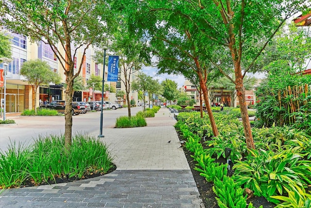 12838 Verdi Dr, Houston, TX 77024 - view of surrounding community