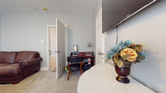 interior space with light colored carpet