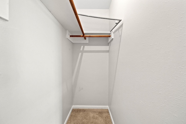 13619 Bonilla Ln, Houston, TX 77083 - spacious closet with carpet flooring