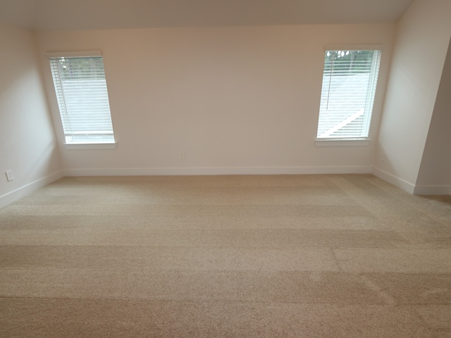 16208 Mcdonald County Ct, Montgomery, TX 77316 - empty room with healthy amount of natural light, baseboards, and light colored carpet
