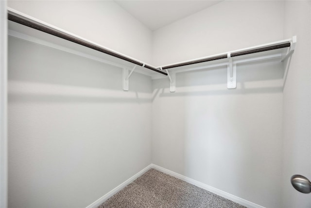 spacious closet with carpet floors