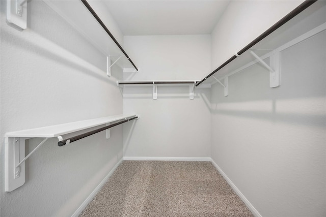 walk in closet with carpet flooring