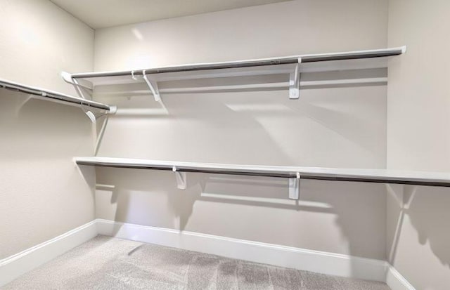17473 Chestnut Cove Dr, Conroe, TX 77302 - spacious closet with carpet floors
