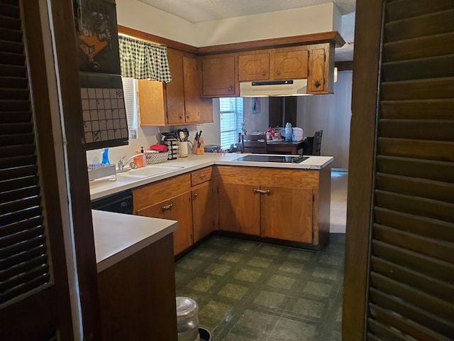 kitchen with light countertops, a sink, black electric cooktop, under cabinet range hood, and dark floors