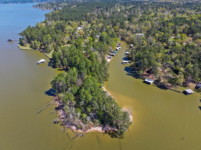birds eye view of property with a water view and a forest view
