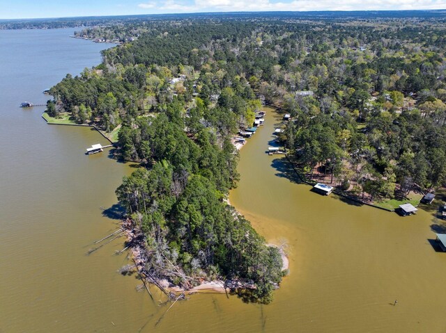birds eye view of property with a water view and a wooded view