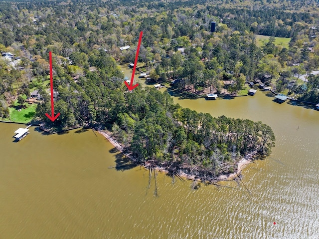 bird's eye view with a water view and a wooded view