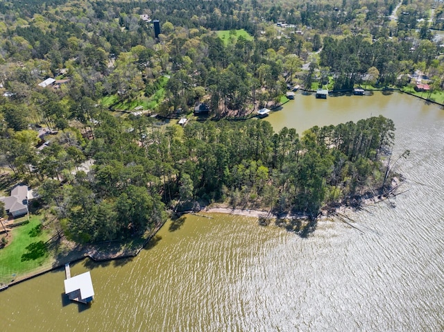 bird's eye view featuring a forest view and a water view