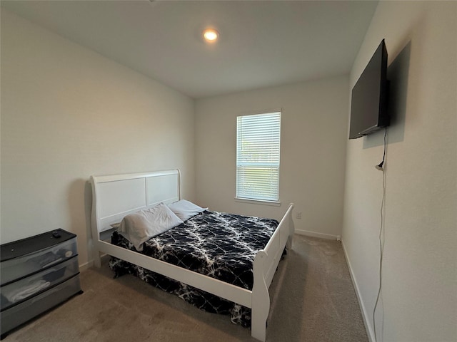 2412 Elliott Shore Ln, La Porte, TX 77571 - bedroom with baseboards and carpet floors