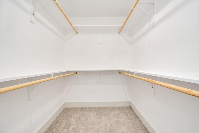 1501 Maiden Ln, Richmond, TX 77469 - spacious closet featuring carpet flooring