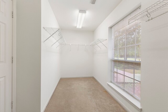 11534 Clint Parker Rd, Conroe, TX 77303 - photo 7