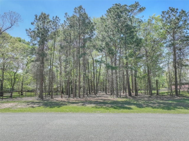 494 Angler Rd, Montgomery, TX 77316