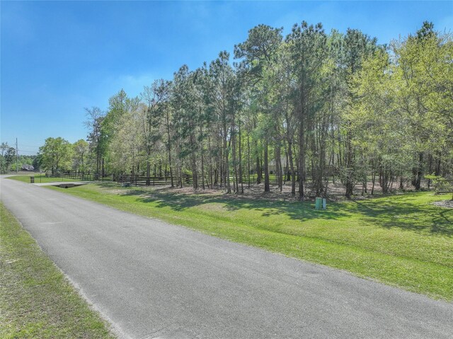494 Angler Rd, Montgomery, TX 77316