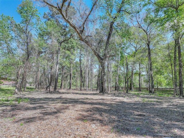 494 Angler Rd, Montgomery, TX 77316