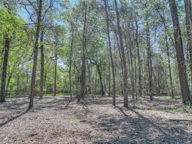 494 Angler Rd, Montgomery, TX 77316