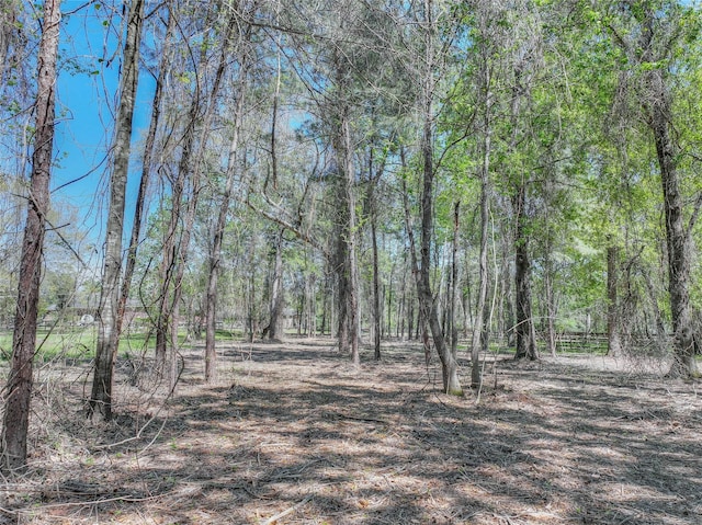 494 Angler Rd, Montgomery, TX 77316