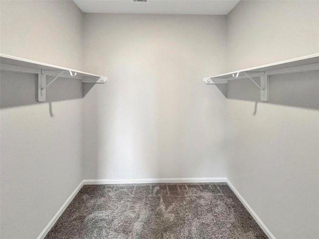 1826 Temple Grove Dr, Iowa Colony, TX 77583 - spacious closet featuring carpet flooring