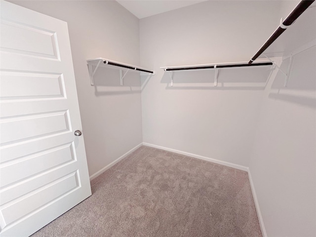 1906 Temple Grove Dr, Iowa Colony, TX 77583 - photo 16