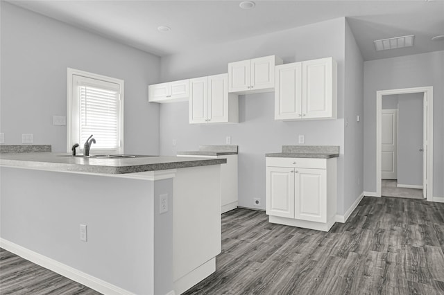 13218 Hp Johnson St A/B, Unit A/B Kendleton, TX 77451 - kitchen featuring white cabinets, a sink, dark wood-type flooring, and visible vents