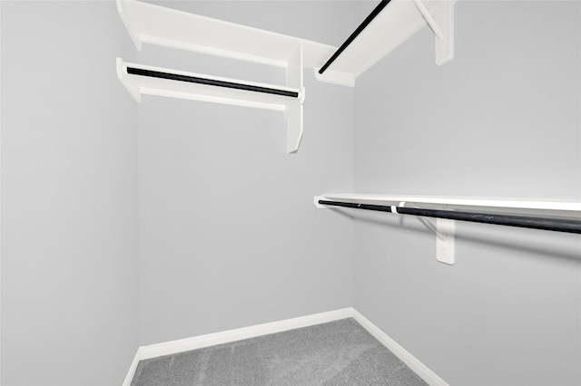 13218 Hp Johnson St A/B, Unit A/B Kendleton, TX 77451 - walk in closet featuring carpet flooring