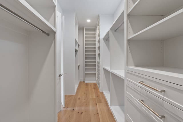spacious closet featuring light wood finished floors