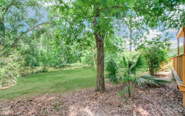 12728 Hollandale Dr, Houston, TX 77082 - view of yard