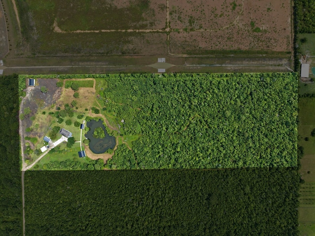 5221 Santo Park Rd, Dickinson, TX 77539 - photo 30