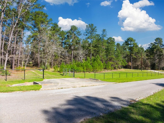 9191 Amelia Dr, Anderson, TX 77830 - photo 10