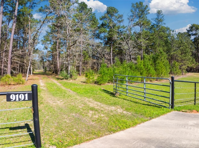 9191 Amelia Dr, Anderson, TX 77830 - photo 3