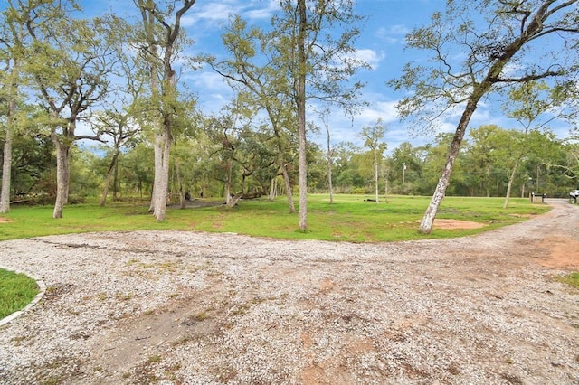 20202 Deer Run Rd, Damon, TX 77430 - view of yard