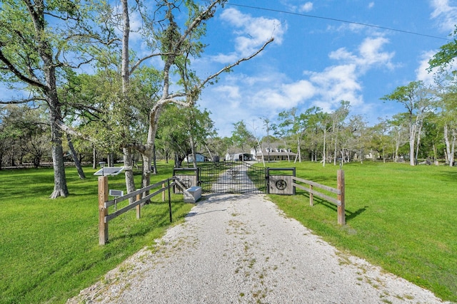 20202 Deer Run Rd, Damon, TX 77430 - view of road with a gate, a gated entry, and driveway